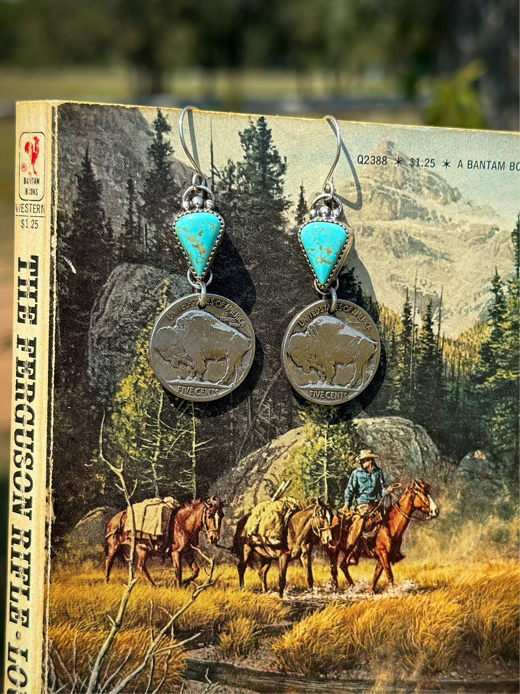 Sonora & Buffalo Nickels