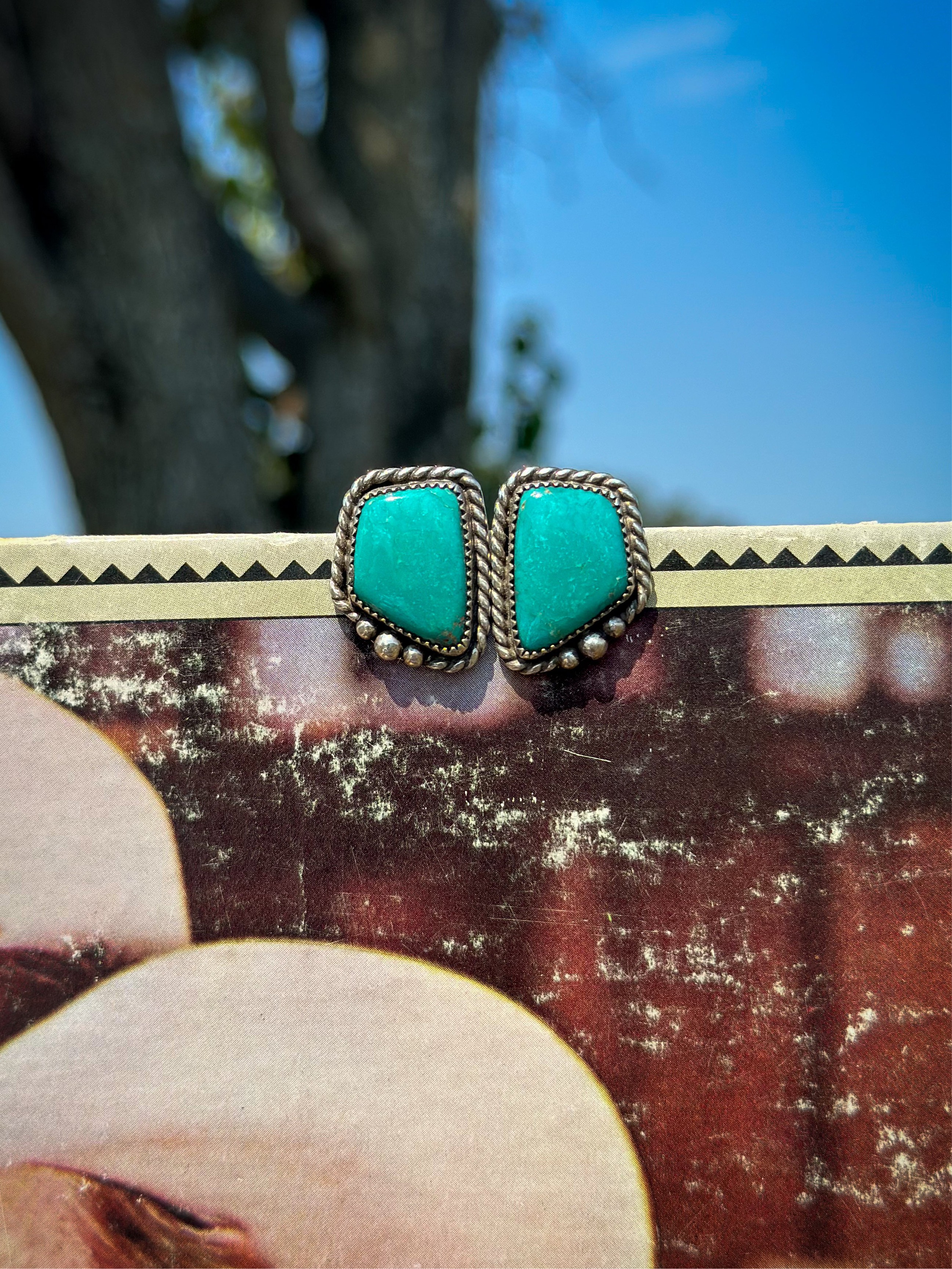 Fox Turquoise Studs